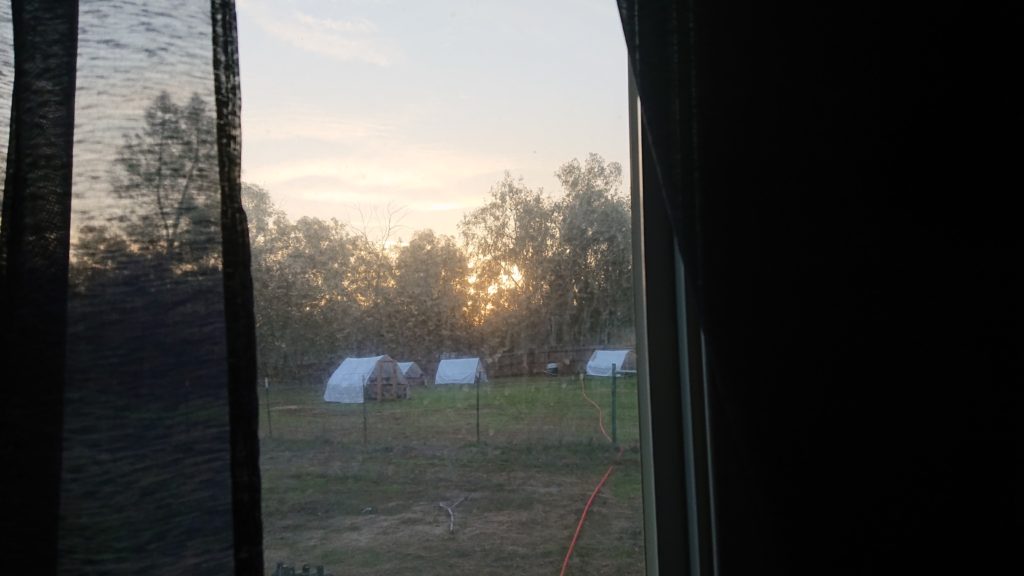Sunrise out a window looking over a pasture with chicken tractors on it and trees behind it.